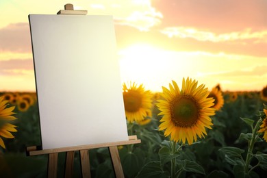 Wooden easel with blank canvas in field with yellow sunflowers at sunset. Space for text