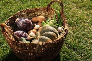 Different fresh ripe vegetables in wicker basket on green grass