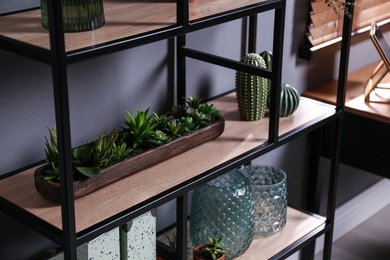 Shelving with different decor and houseplants near gray wall. Interior design