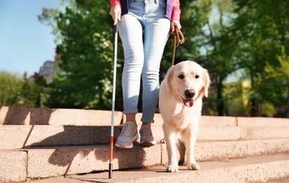 Guide dog helping blind person with long cane going down stairs outdoors