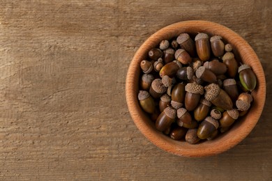 Bowl of acorns on wooden table, top view. Space for text