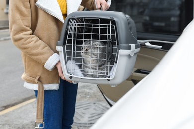 Woman holding carrier with cute Scottish fold cat near car outdoors, closeup