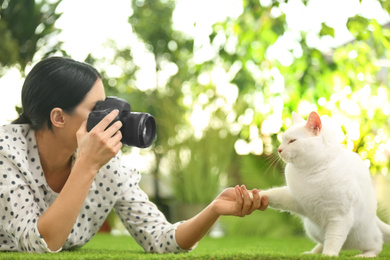 Photo of Professional animal photographer taking picture of beautiful white cat outdoors