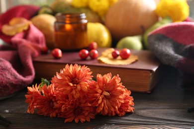 Beautiful orange chrysanthemum flowers on wooden table, space for text. Autumn still life