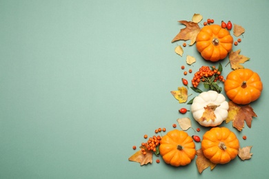 Different ripe pumpkins, autumn leaves and berries on green background, flat lay. Space for text
