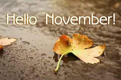 Hello November card. Autumn leaf on rainy day, closeup