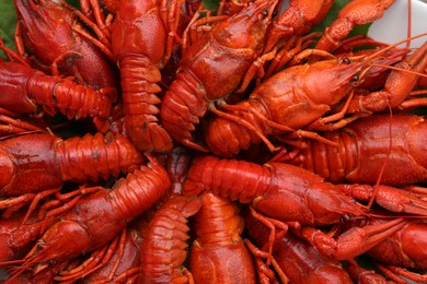 Photo of Delicious red boiled crayfish as background, top view