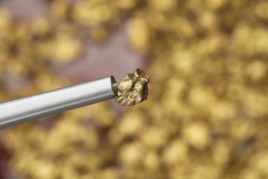 Tweezers with gold nugget on blurred background, closeup