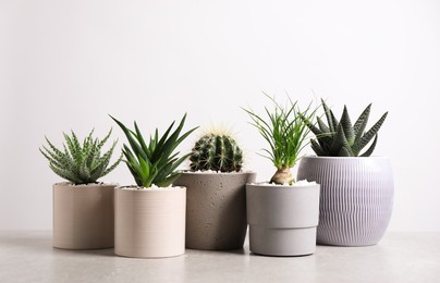 Different house plants in pots on grey table against white background