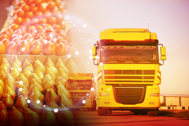 Multiple exposure of trucks, fresh fruits and world globe. Wholesale concept