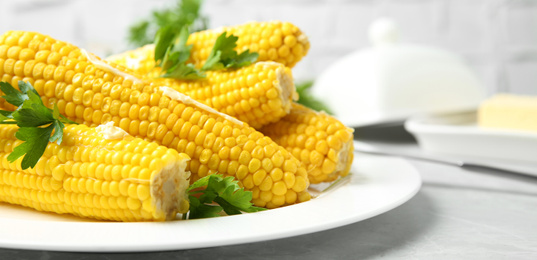 Boiled corn cobs with butter and parsley on light grey table, closeup. Banner design