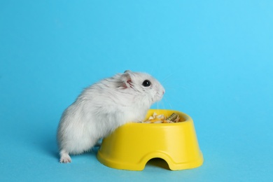 Cute funny pearl hamster near feeding bowl on light blue background