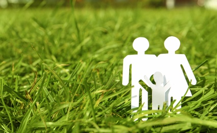 Paper silhouette of family in grass outdoors, space for text. Life insurance concept