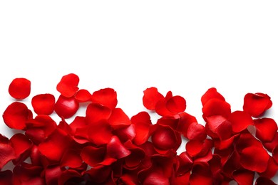 Photo of Beautiful red rose flower petals on white background, top view