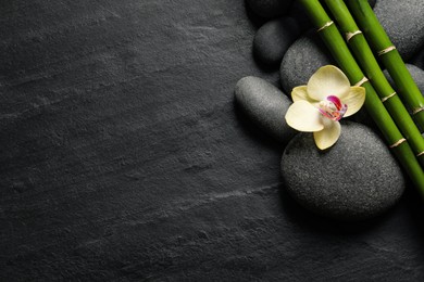 Spa stones, beautiful orchid flower and bamboo stems on black table, flat lay. Space for text