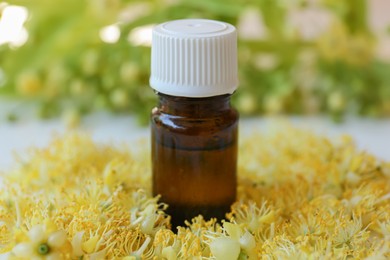 Photo of Bottle of essential oil on linden blossoms against blurred background, closeup