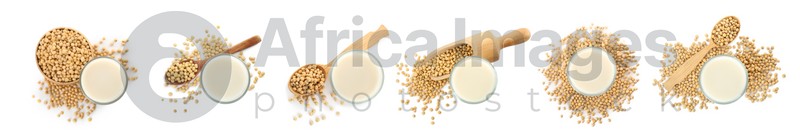 Set with natural soy milk and beans on white background, top view. Banner design