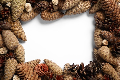 Frame of pinecones on white background, flat lay. Space for text