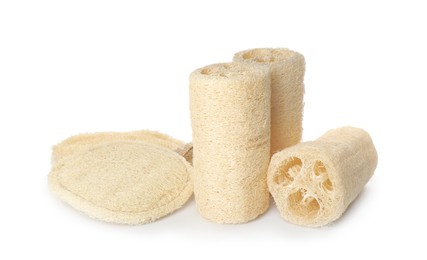 Different natural loofah sponges isolated on white