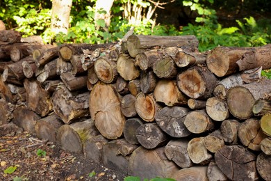Pile of different cut wood logs outdoors