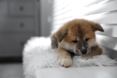 Cute Akita Inu puppy on fuzzy rug near window indoors