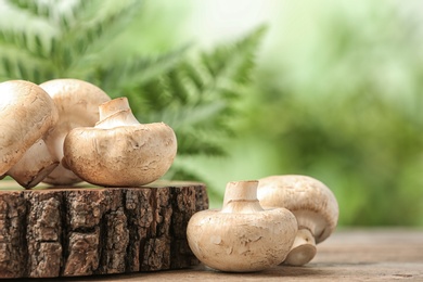 Fresh champignon mushrooms with wooden stump on blurred background, closeup