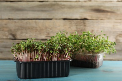 Fresh radish microgreens in plastic containers on turquoise wooden table