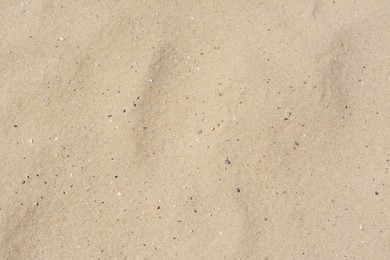 Texture of sandy beach as background, above view
