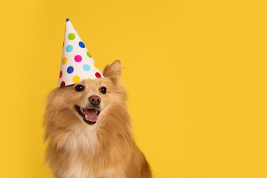Photo of Cute dog with party hat on yellow background, space for text. Birthday celebration