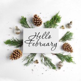 Hello February greeting card, fir tree branches, cones and festive decor on white background, flat lay