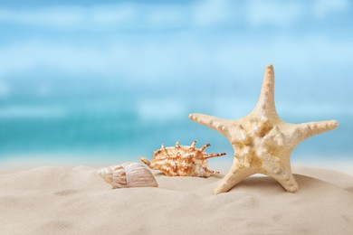 Image of Beautiful sea star and seashells on sandy beach 