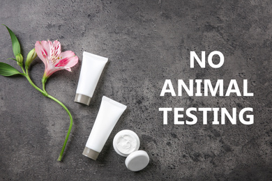 Cosmetic products, flower and text NO ANIMAL TESTING on grey background, flat lay