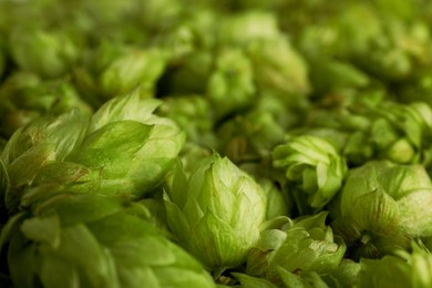 Photo of Fresh green hops as background, closeup view