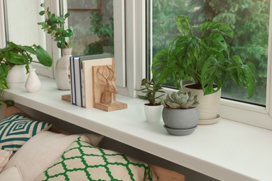 Many beautiful house plants on windowsill indoors. Home design idea