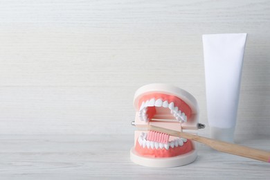 Model of jaw with teeth, toothbrush and paste on white wooden table. Space for text