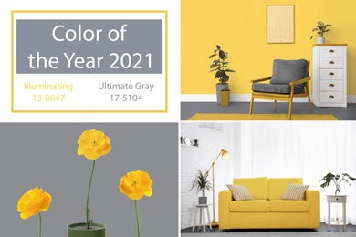 Color of the year 2021. Collage with different photos