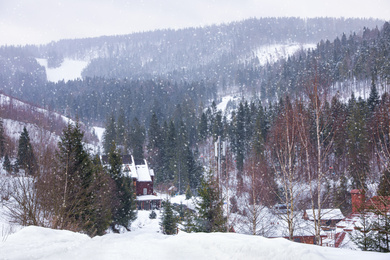 Picturesque view of snowy village near forest on winter day