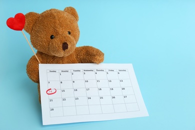 Cute teddy bear with calendar and red heart on light blue background. Valentine's day celebration