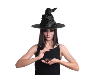 Mysterious witch in hat with spider on white background