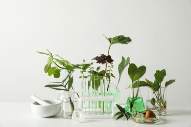 Ceramic mortar and laboratory glassware with plants on white background. Chemistry concept