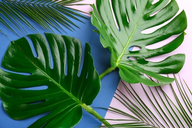 Beautiful monstera and palm leaves on color background, flat lay. Tropical plants