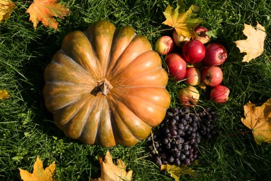 Ripe pumpkin, fruits and maple leaves on green grass outdoors, flat lay. Autumn harvest