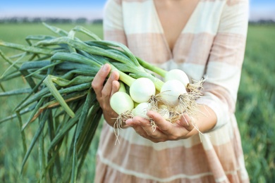 Woman holding fresh green onions outdoors, closeup
