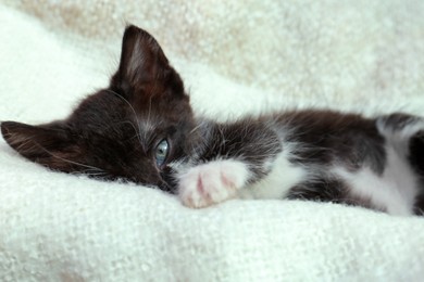 Photo of Cute baby kitten lying on cozy blanket, closeup