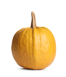 Fresh ripe pumpkin isolated on white background. Autumn season