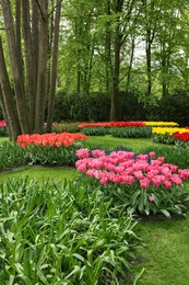 Photo of Park with variety of beautiful flowers. Spring season