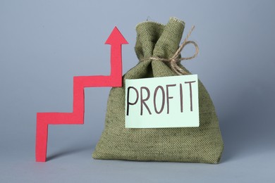 Economic profit. Money bag and arrow on light grey background
