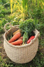 Photo of Fresh ripe vegetables in wicker basket on green grass at farm