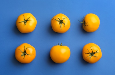 Yellow tomatoes on blue background, flat lay