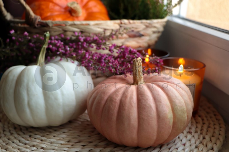 Wicker basket with beautiful heather flowers, pumpkins and burning candles near window indoors, closeup